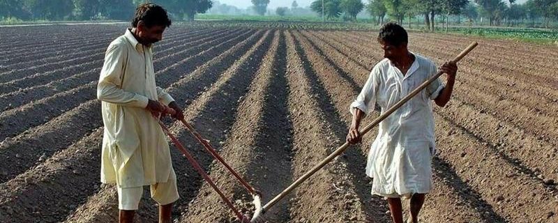 Balochistan farmers