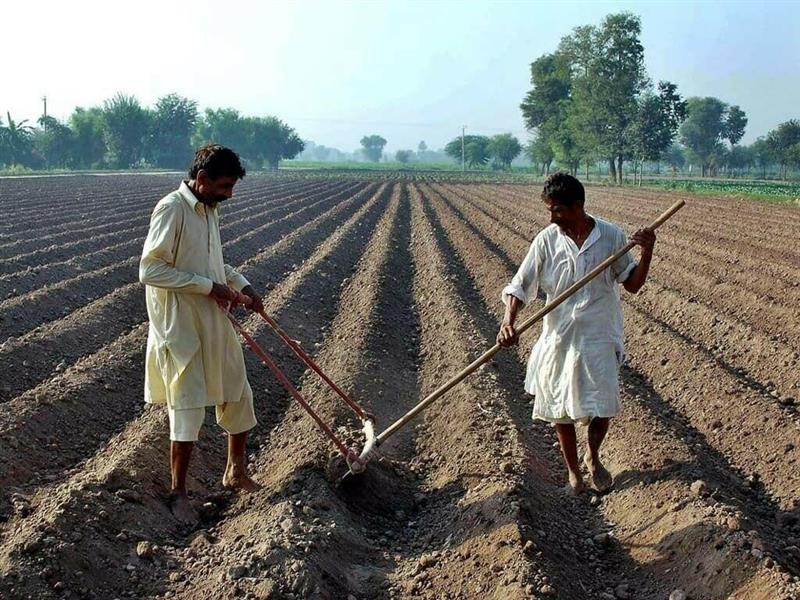Balochistan farmers